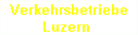 VB Luzern